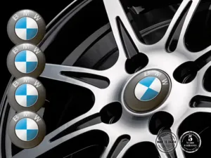 BMW Decalcomanie Cupola Sports Temporal Surge Grid
